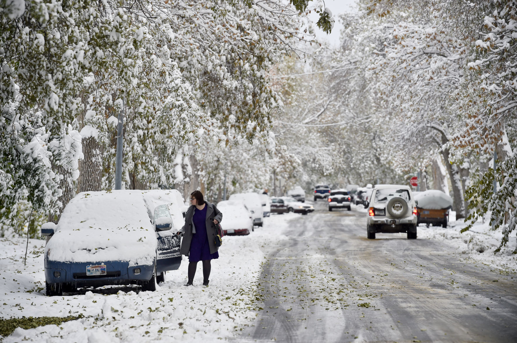 Snowstorm